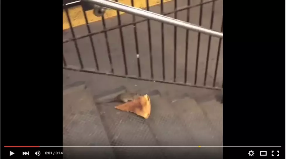 Watch A Rat Trying to Run Off with an Entire Piece of Pizza (VIDEO)