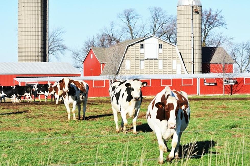 More Money Available For New York’s Farmland Protection Program