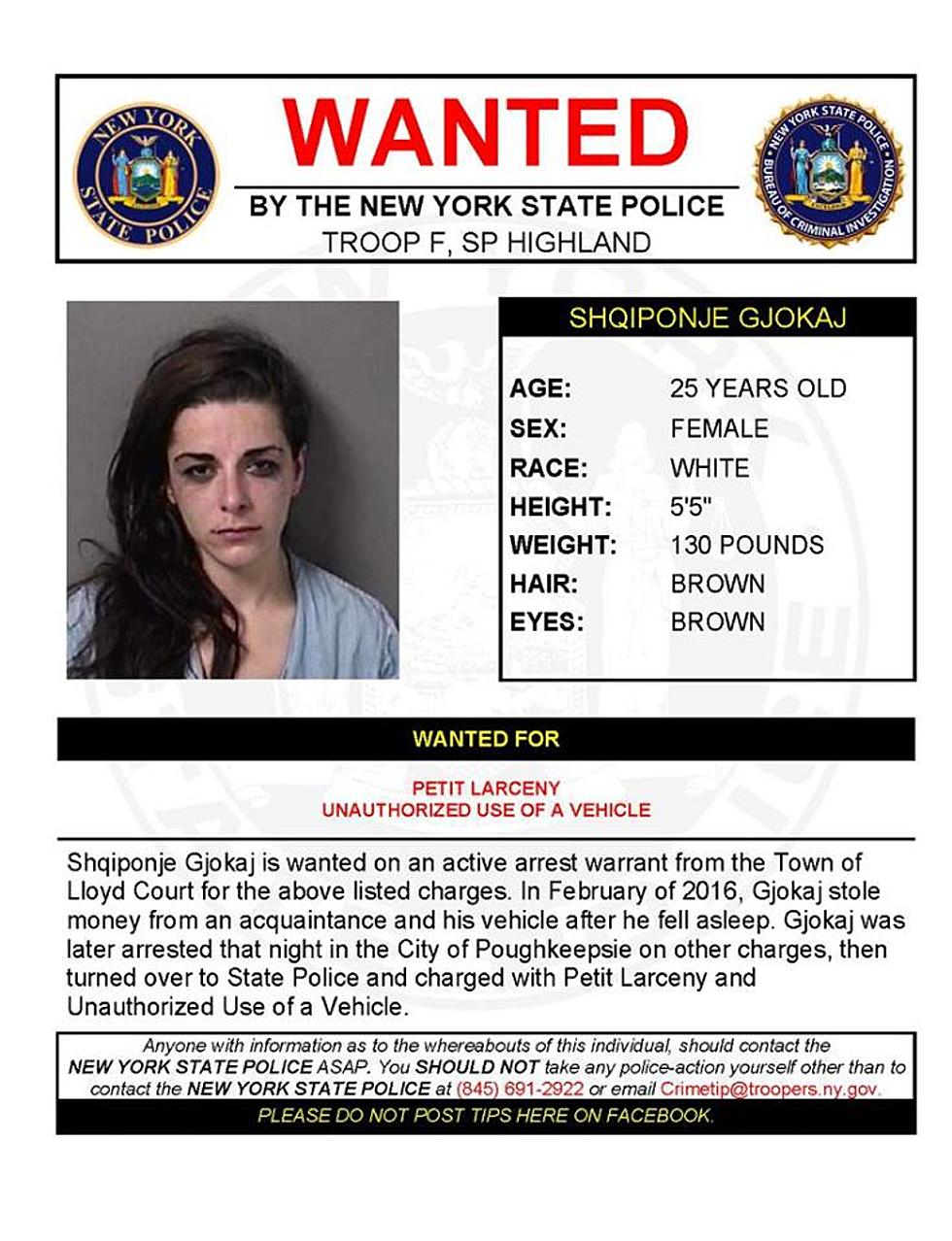 Warrant Wednesday: Ulster County Woman Wanted For Larceny