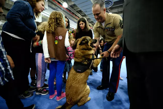 U.S. Marine Corp Dog Honored