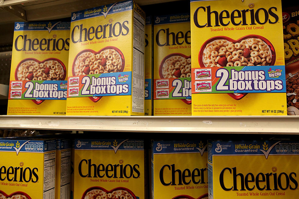 Cheerios Has a New Flavor (PIC)