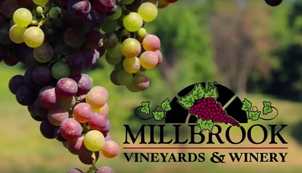 Spend A Day At Millbrook Vineyards and Winery