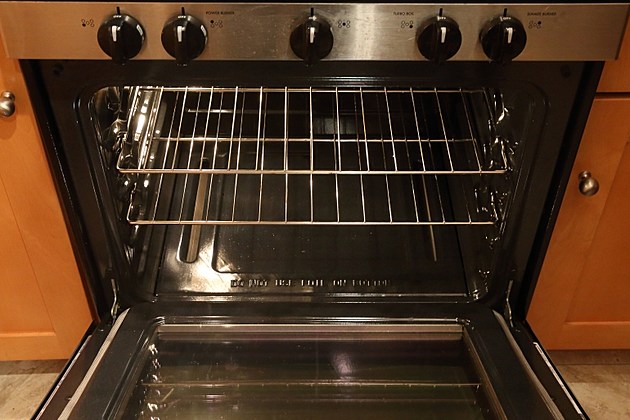 NY Man Accused of Burning Cat in Oven