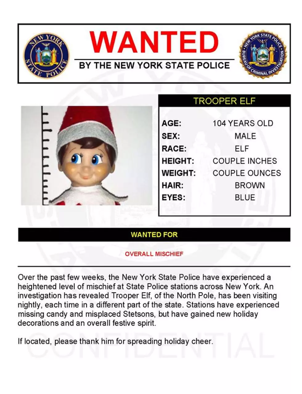 Warrant Wednesday: Trooper Elf Wanted For Overall Mischief