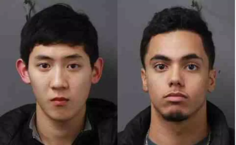Two Teens Charged with Drug Possession in Red Hook