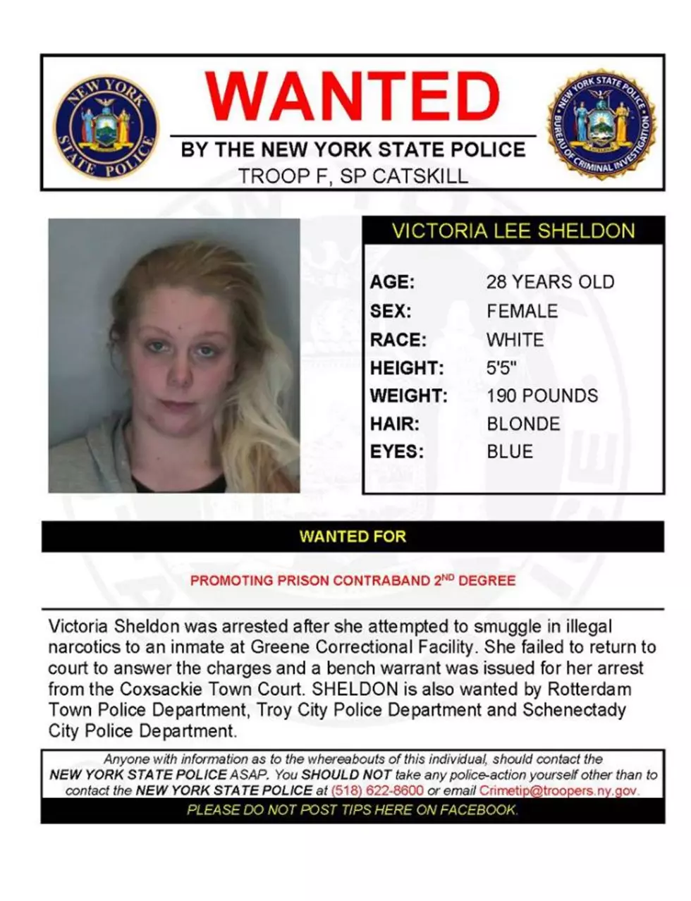 Warrant Wednesday: Catskill Woman Wanted in Four Towns