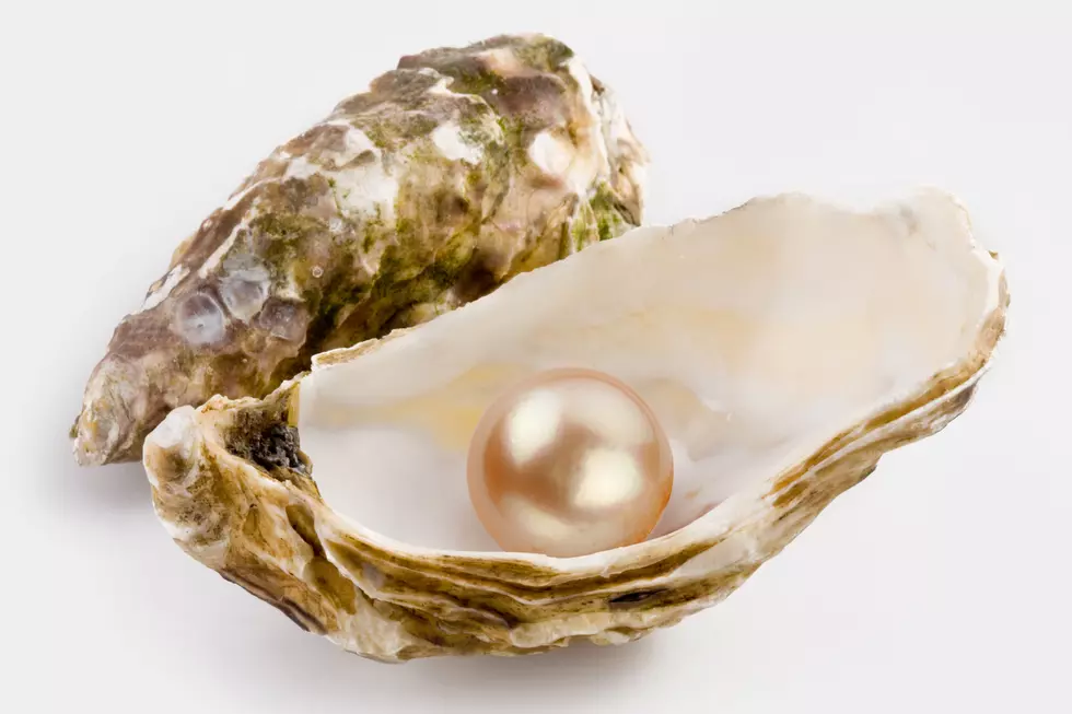 A Pearl is More Than Just A Grain of Sand