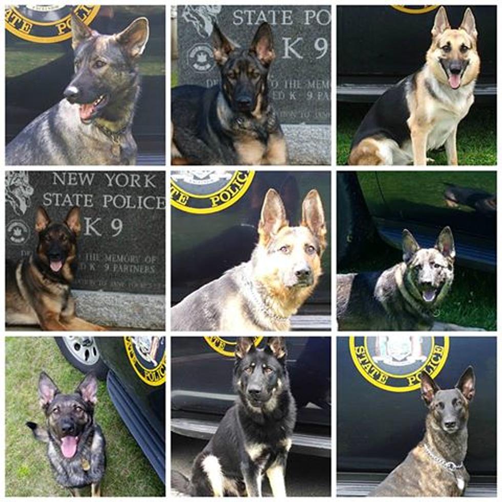 New York State Police Honors K-9 Unit