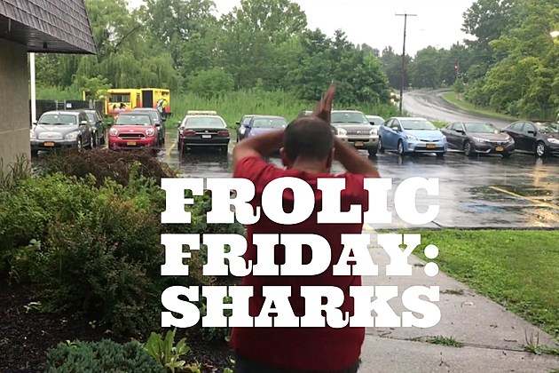 Frolic Friday: Sharks