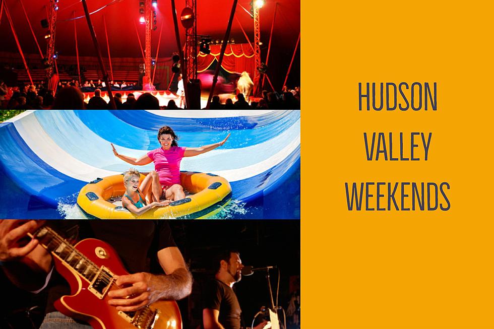 What’s Happening This Weekend in the Hudson Valley: Dog Days of Summer Edition