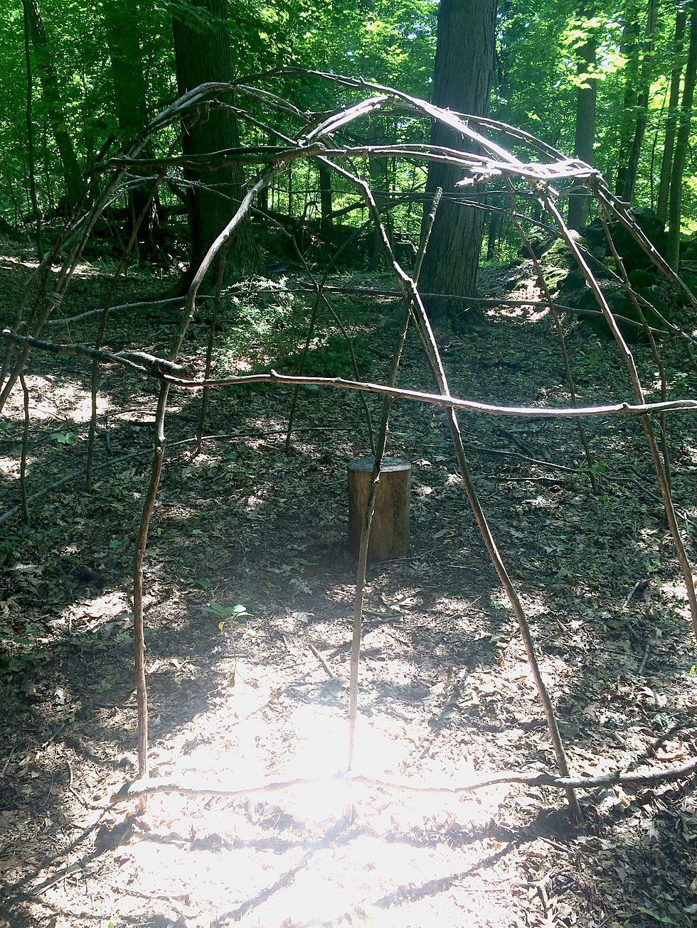 Does the Blair Witch Live in Bowdoin Park?