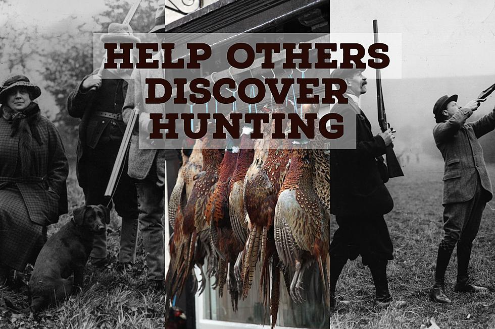 Why You Should Apply For DEC-Sponsored Pheasant Hunts