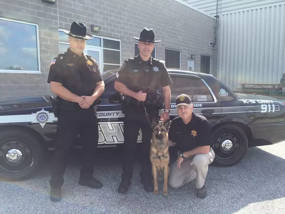 GoFund Me Account Started for Hudson Valley K9
