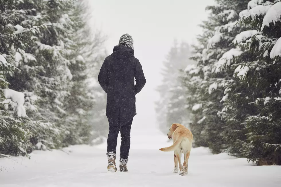 The First Flakes May Fly in Early Fall