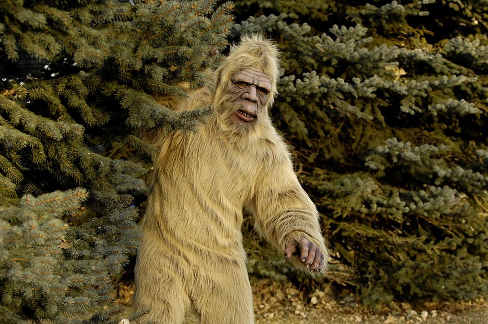 Hudson Valley’s Bigfoot Lives in Pine Plains?