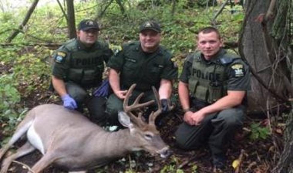 8 Point Buck Illegally Shot in New Windsor