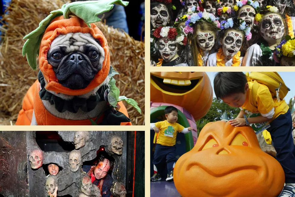 What&#8217;s Happening This Weekend: Spooky Fun Ahead