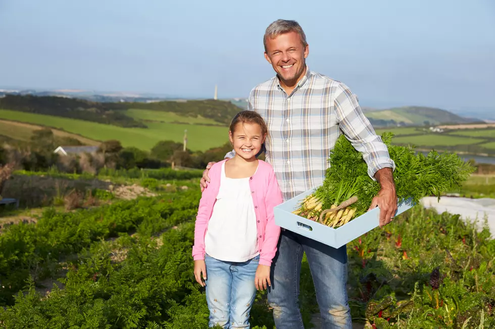 Farm-To-School Program is Growing in New York State