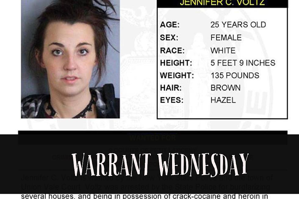 Warrant Wednesday: Dutchess County Woman Wanted For Larceny