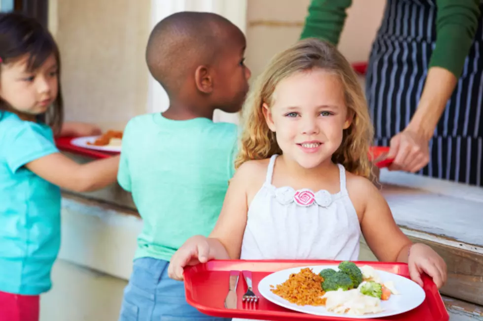 Kids&#8217; Summer Food Program Coming Back to The Hudson Valley