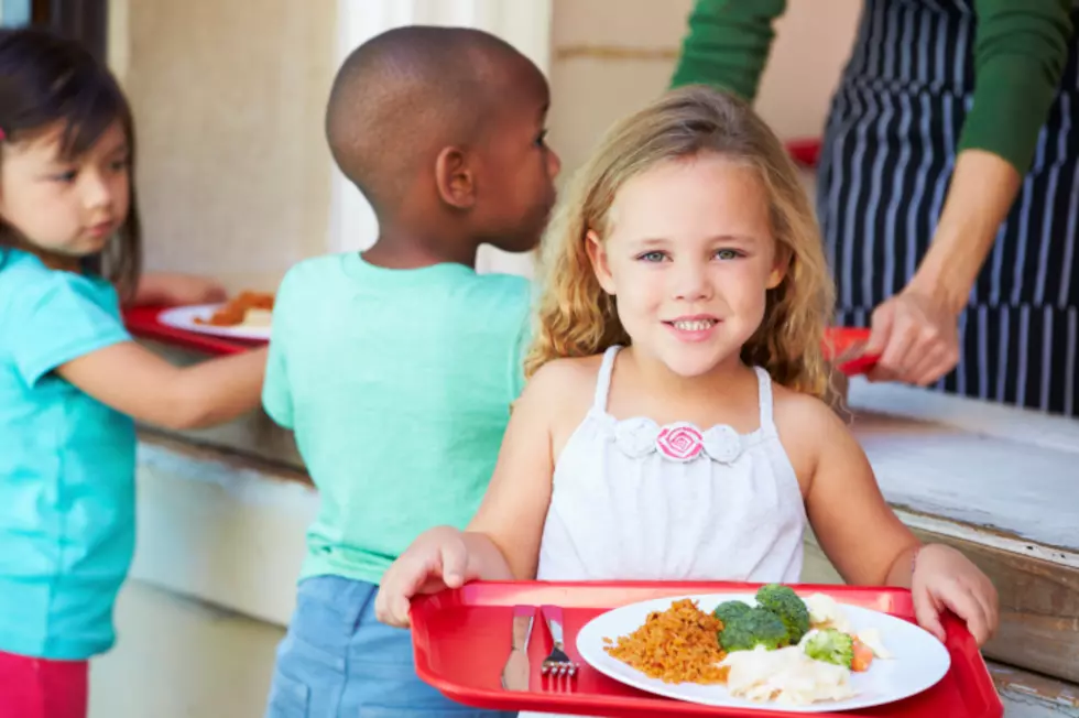 Kids’ Summer Food Program Coming Back to The Hudson Valley