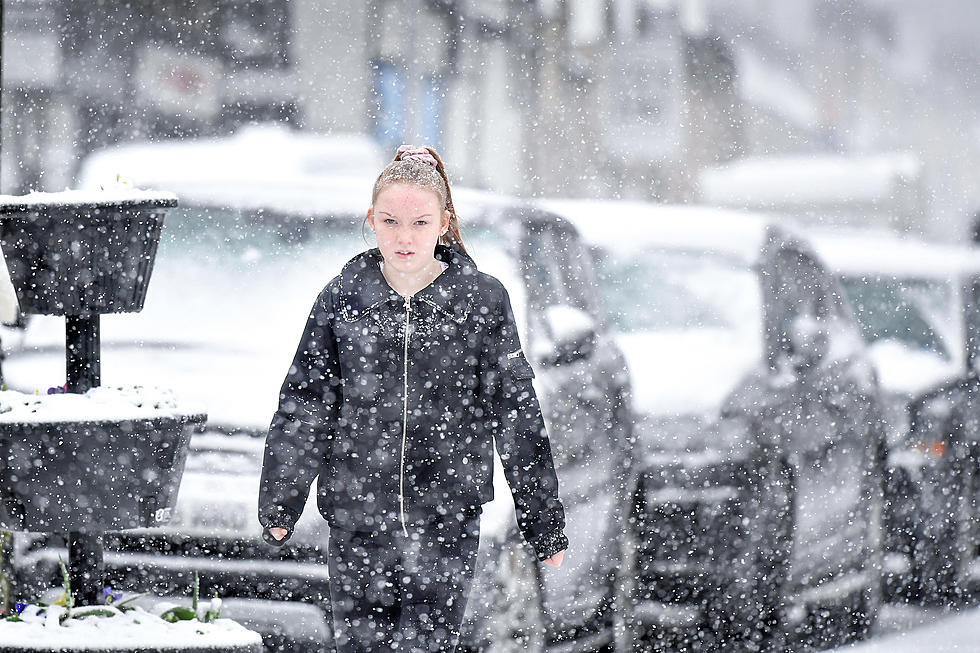 It’s Spring and Of Course It’s Snowing in the Hudson Valley