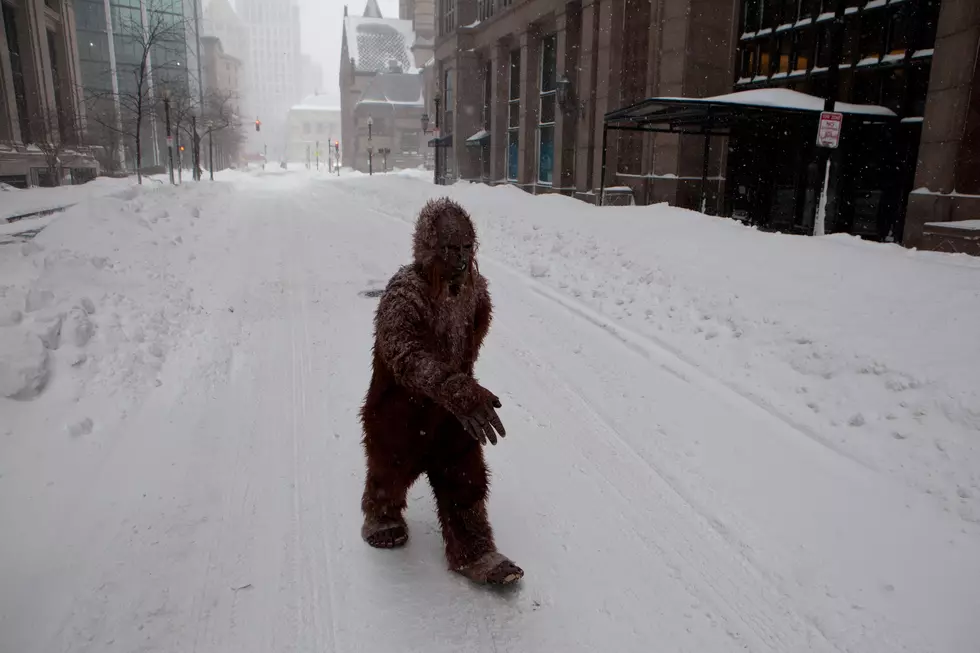 New York Ranks in the Top 5 in Bigfoot Sightings
