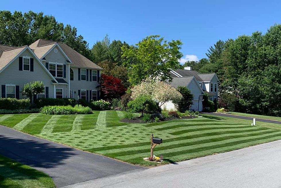 Upstate NY Man Mows American Flag Design on Front Lawn