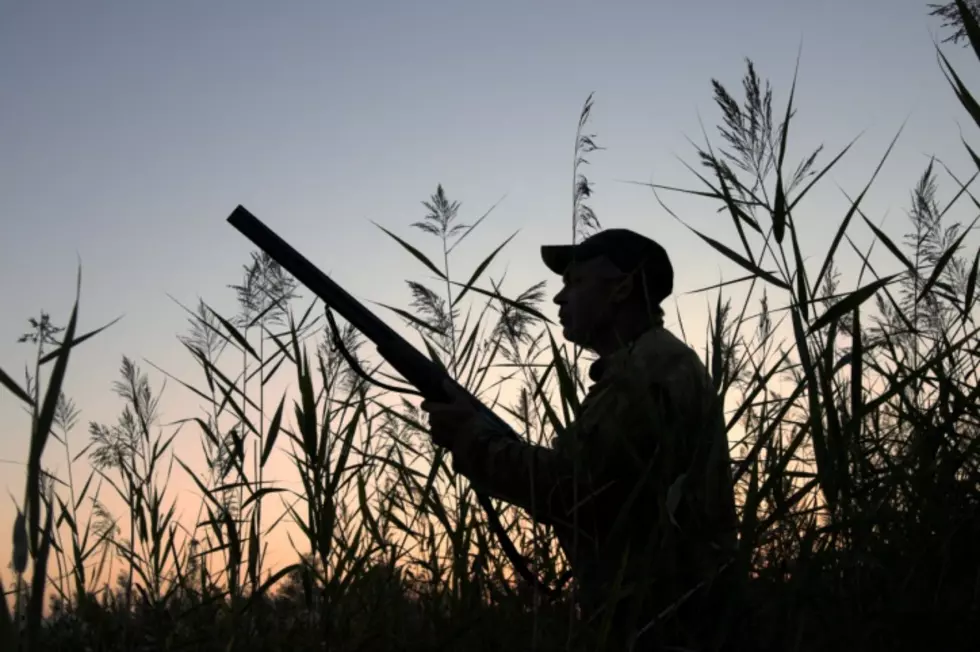 Hunting and Trapping Licenses Available Now