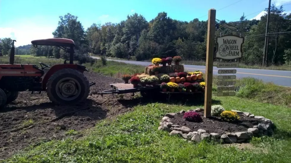 Family Gets to Keep Hudson Valley Farm