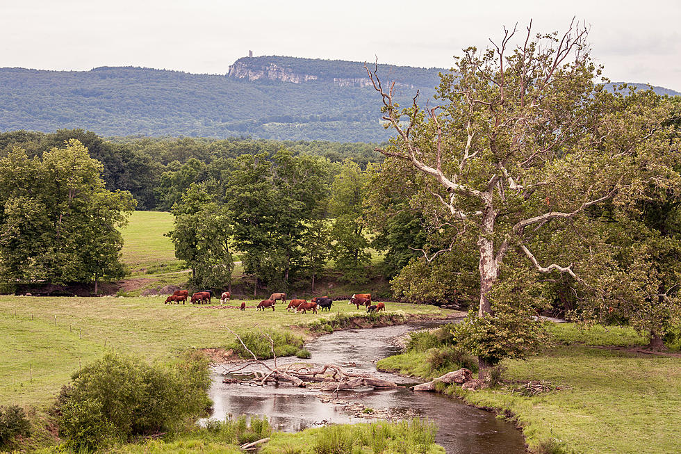 Wallkill Valley Land Trust Holds Benefit Sunday at Coppersea Dist