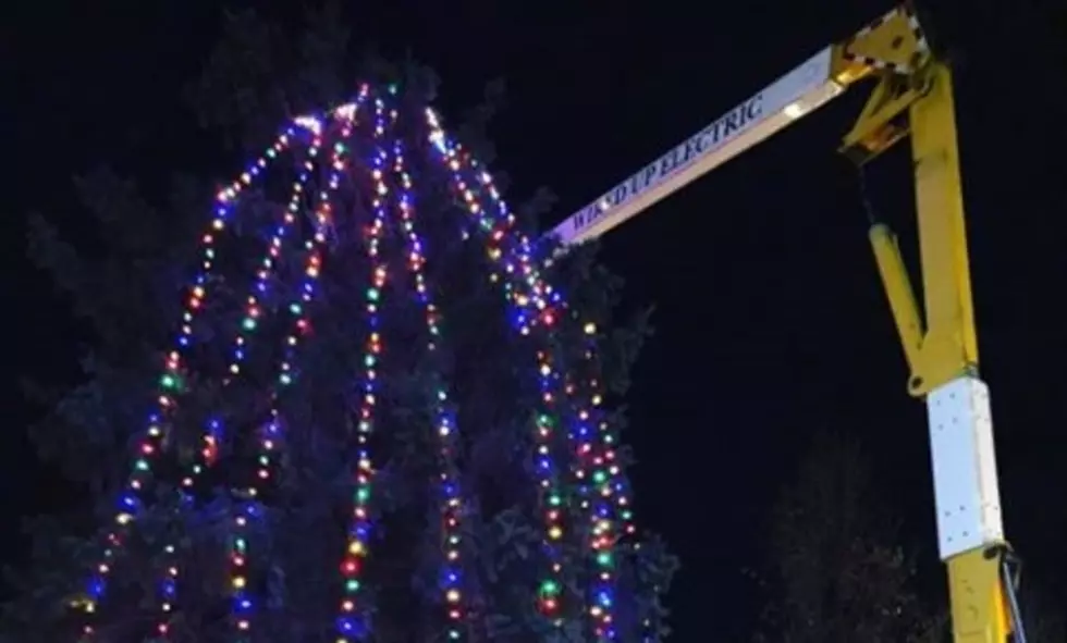 Pawling Businesses Come Together To Save Christmas Tree Lighting