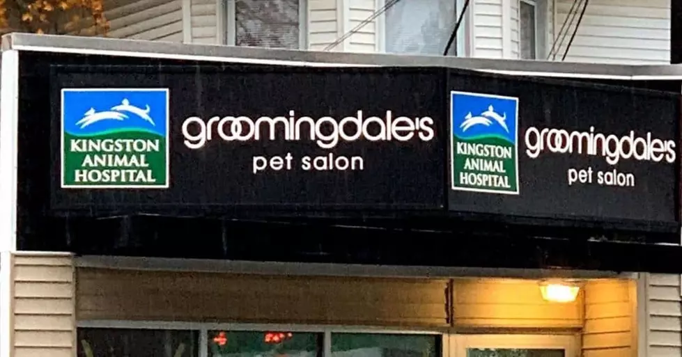 Groomingdales Opens in Kingston