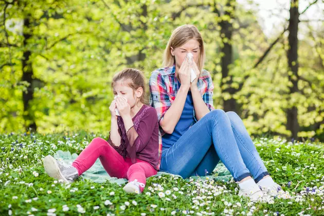 What Kind of Allergy Season Can The Hudson Valley Expect?