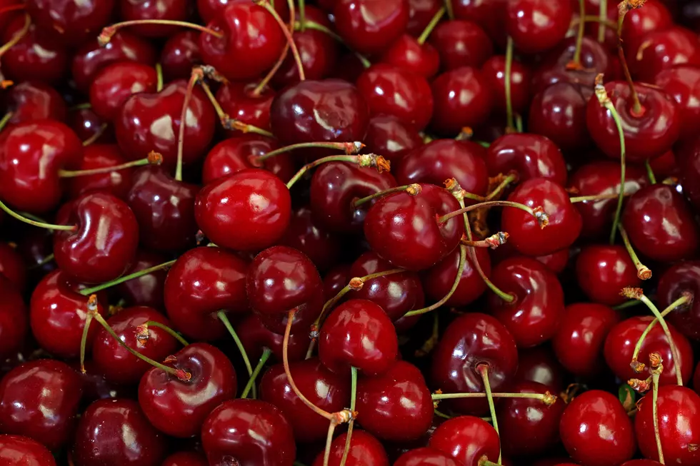Cherries: Hudson Valley They Have Arrived