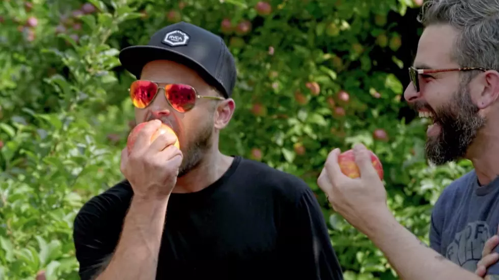 Zac Efron Visits Angry Orchard in New Netflix Show