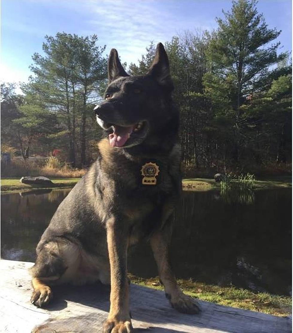 Ulster County Sheriffs Office K-9 Officer Passes Away