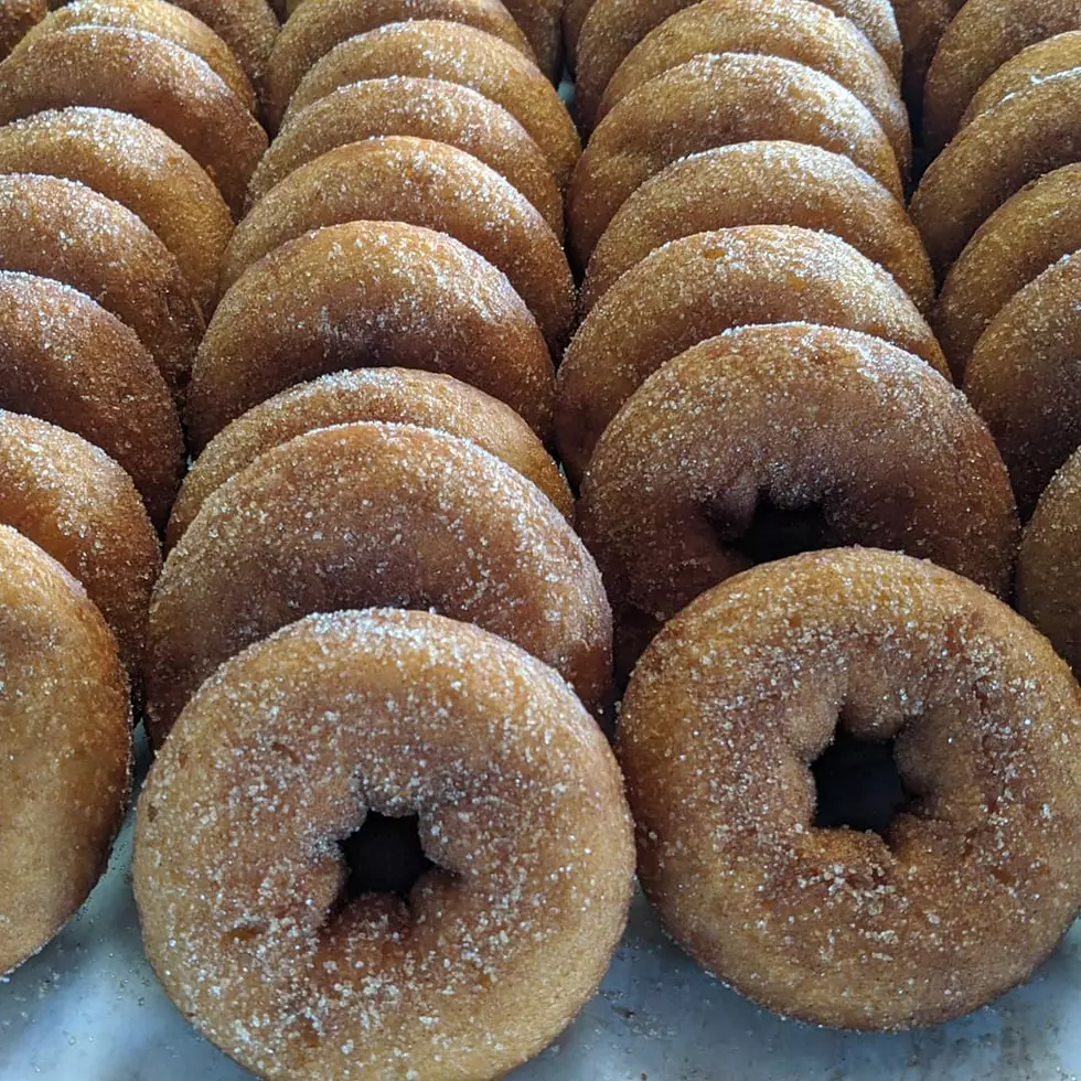 Hudson Valley Farm Announces It’s Apple Cider Donut Season