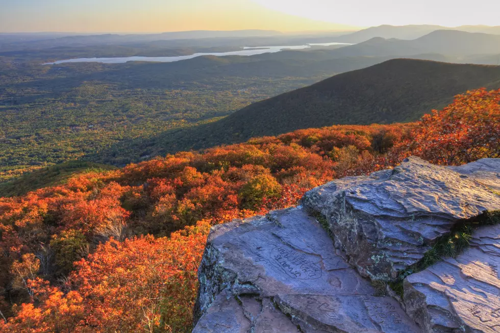 Fall Foliage Predictions are in for the Hudson Valley