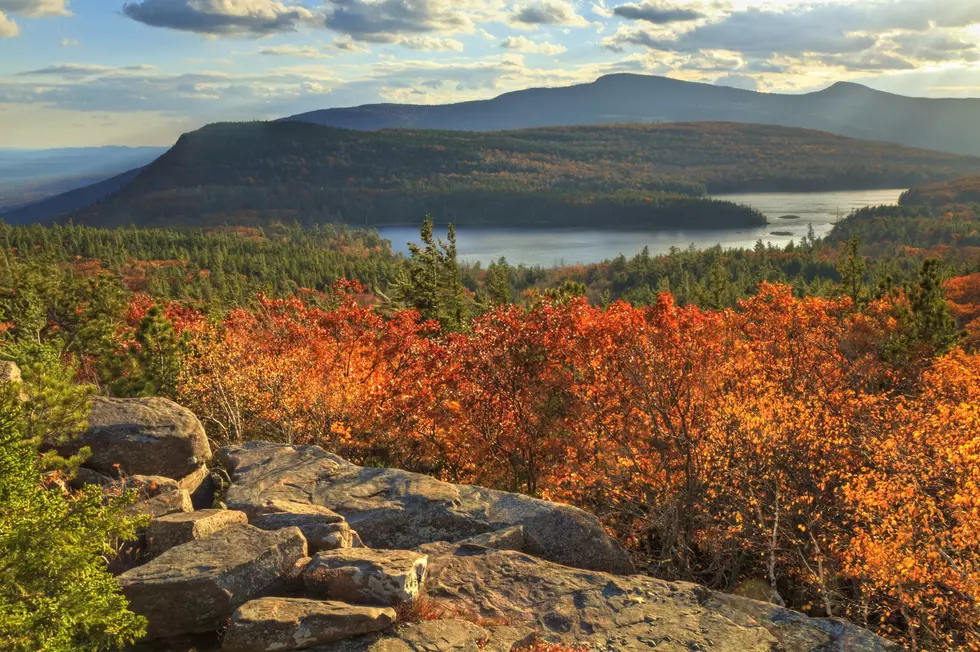 Fall Colors Starting to Pop in the Hudson Valley