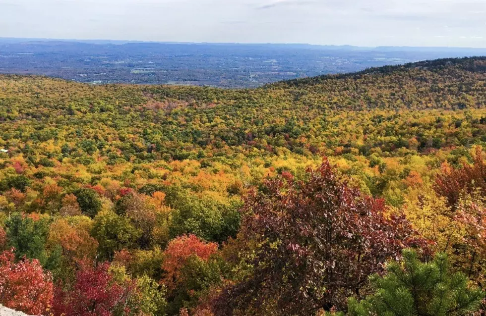 Fall Foliage Quickly Moving to Peak Levels in the Hudson Valley