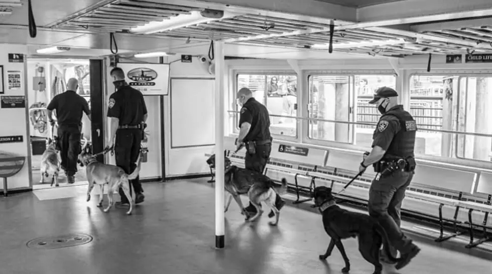 Hudson Valley K-9's Take a Trip to Liberty Island