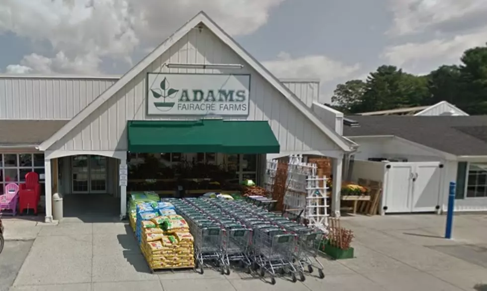 Adams Shares Safe Shopping Patterns for Thanksgiving