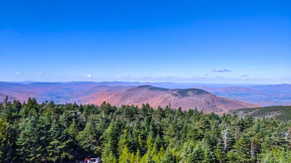 6 Trails to Celebrate National Take a Hike Day