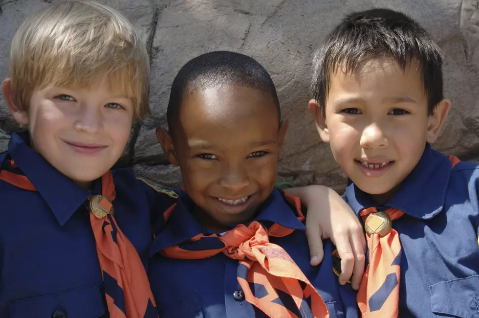 New Paltz Cub Scouts Pack 272 Scout for Food November 14th