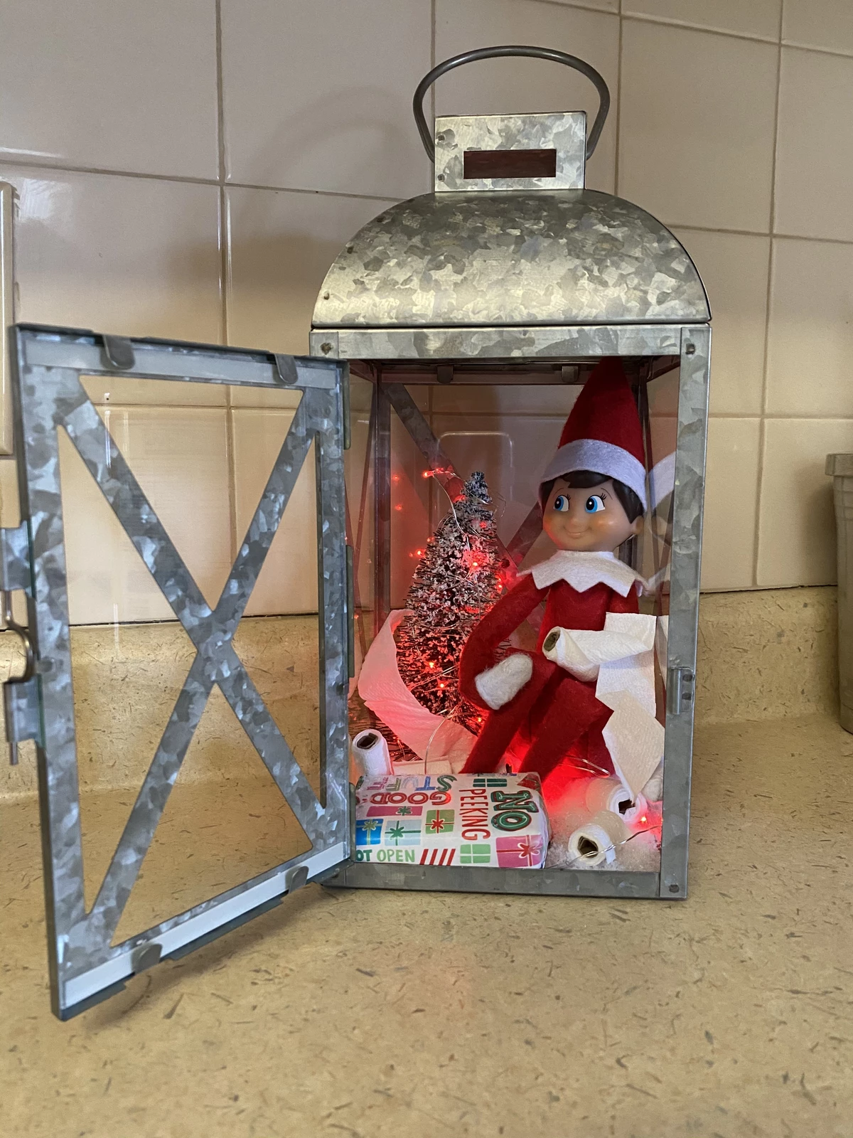 DIY Quarantine Elf on the Shelf House (PICS)