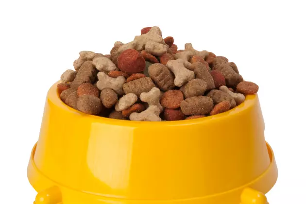 FDA Recalls Pet Food for High Levels of Aflatoxins