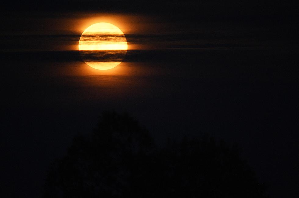 The Full Worm Moon Will Light Up the Hudson Valley Sky Sunday