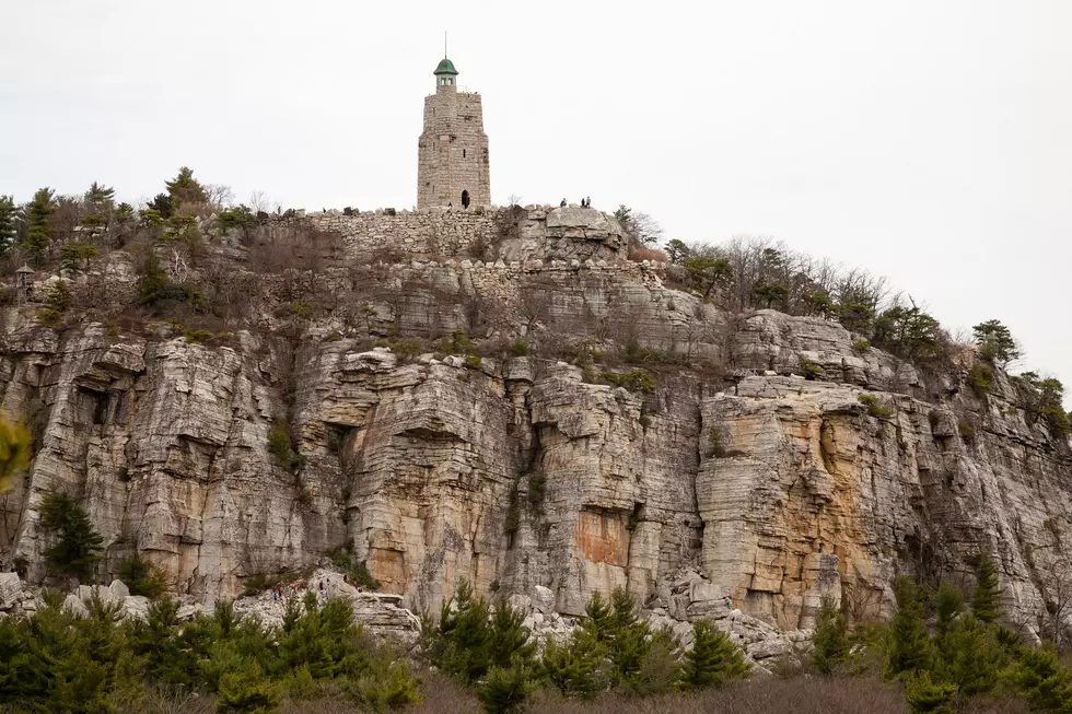 Volunteer: The Mohonk Preserve in New Paltz Needs You