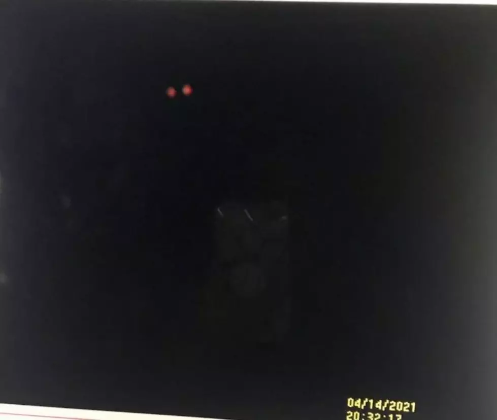 Sinister Glowing Eyes Caught on Security Video in Highland